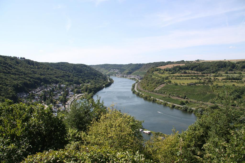 Ferienwohnungen Im Moseltal Löf Esterno foto
