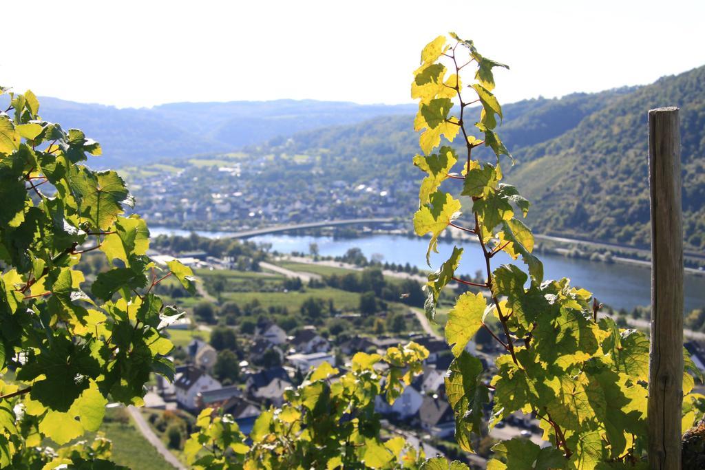 Ferienwohnungen Im Moseltal Löf Esterno foto
