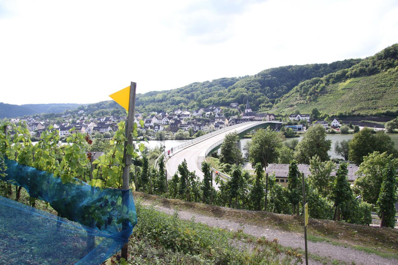Ferienwohnungen Im Moseltal Löf Esterno foto